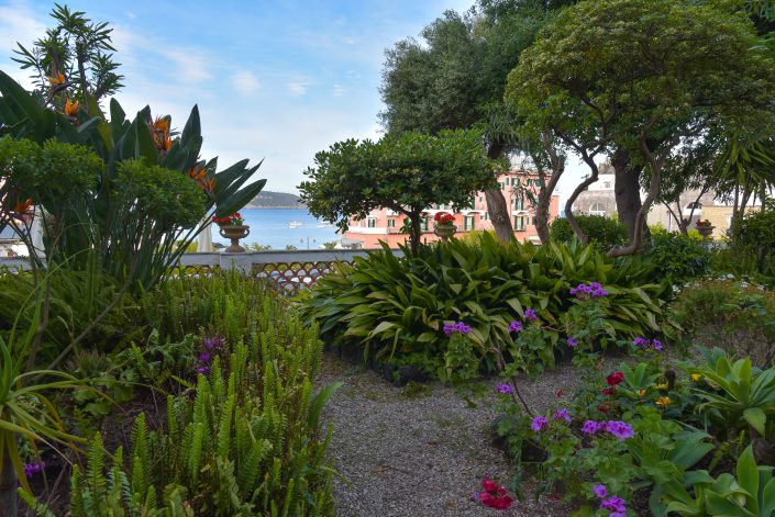 Il giardino del terrazzo